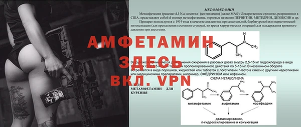 шишки Белоозёрский