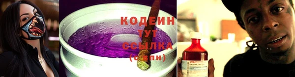 шишки Белоозёрский