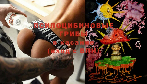 шишки Белоозёрский