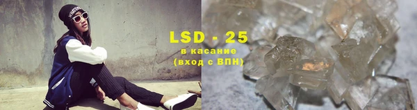 шишки Белоозёрский