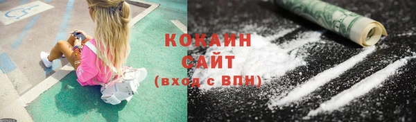 шишки Белоозёрский