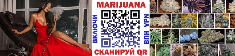 как найти наркотики  Куса  Марихуана White Widow 